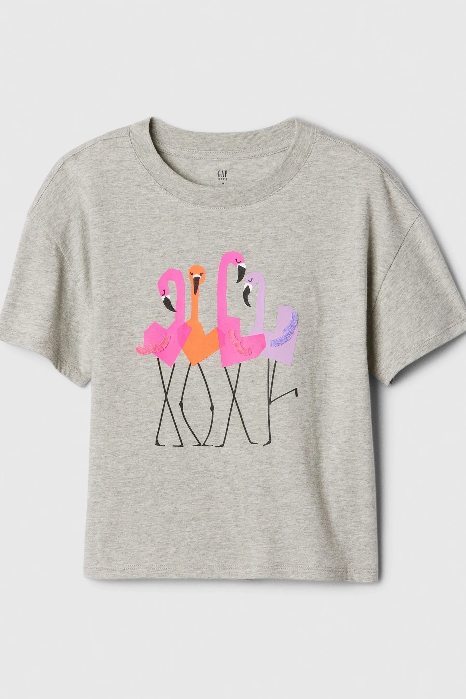 Gap Graphic Short Sleeve Crew Neck T-Shirt (4-13yrs)    