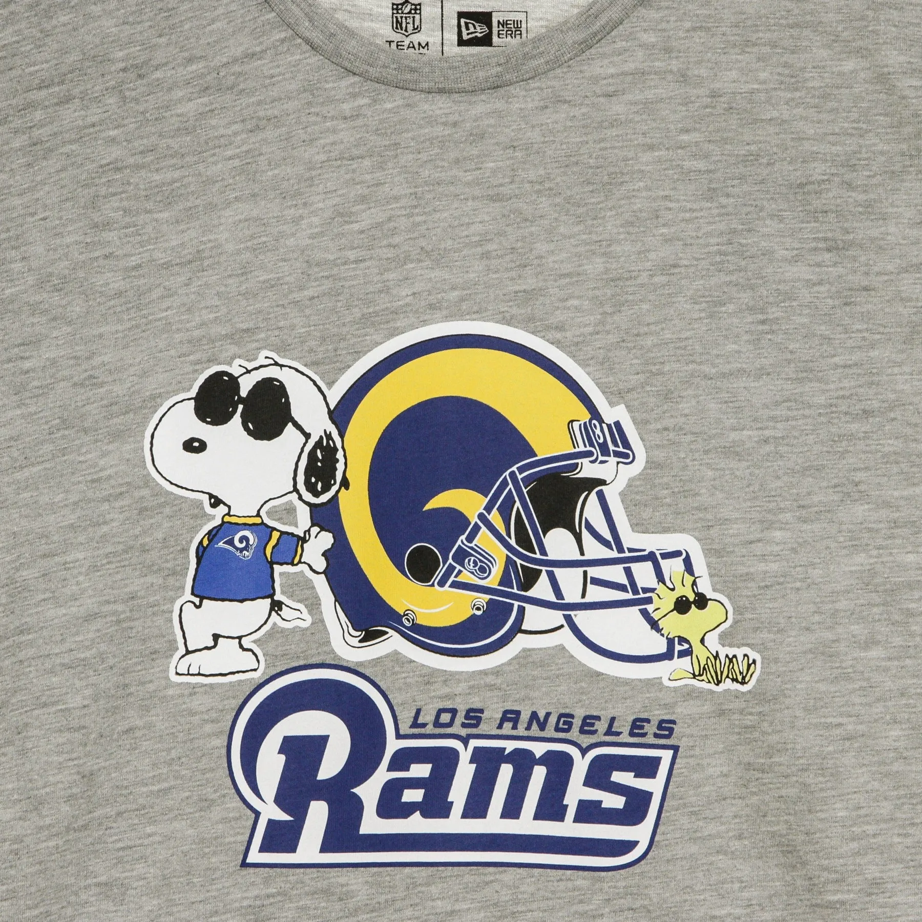 Maglietta Uomo Nfl Snoopy Woodstock Charlie Brown Tee 94 Losram Gray/original Team Colors