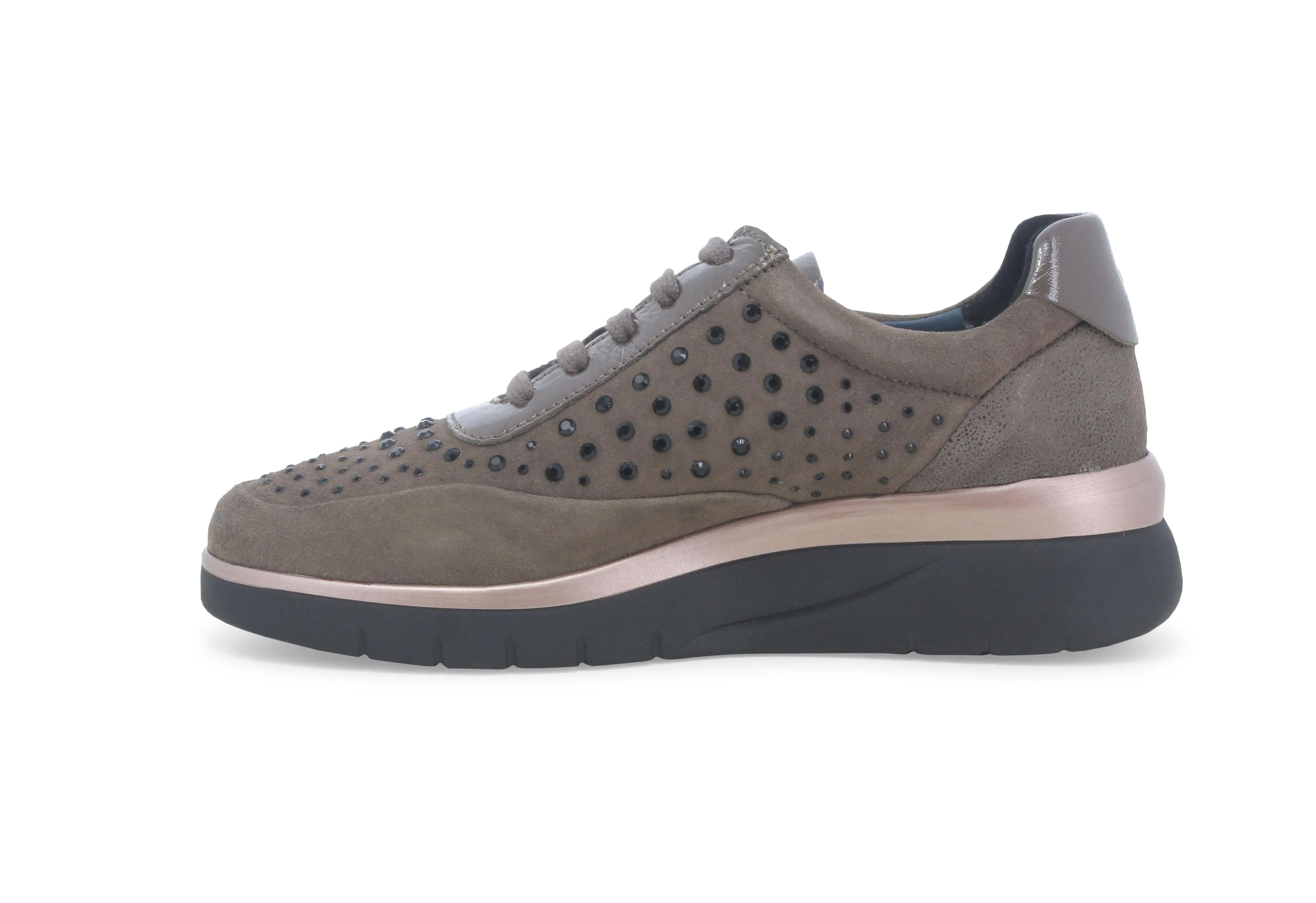 Melluso Donna Scarpe Basse con Lacci e Zip Tomaia Camoscio
