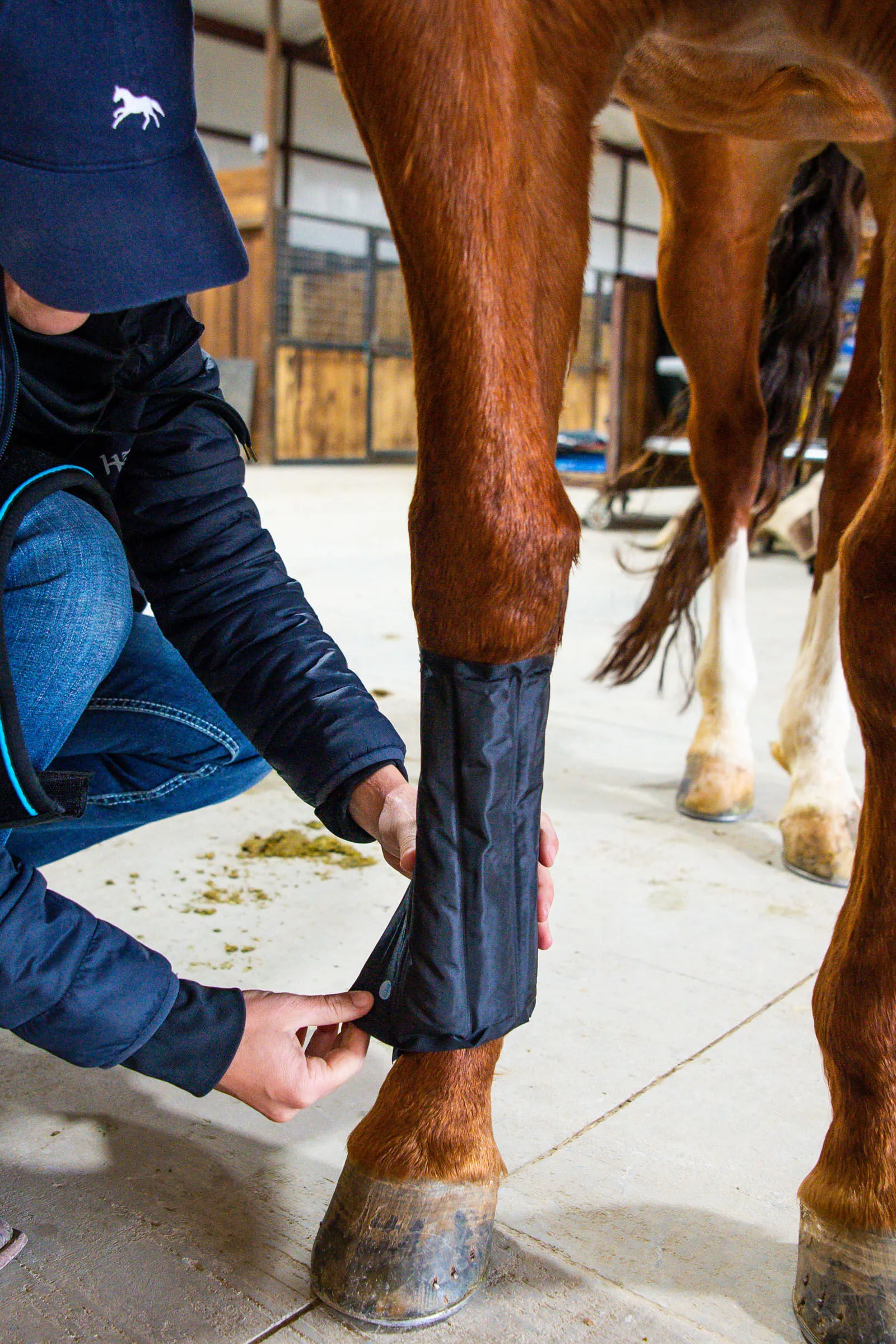 Stivali Ice Vibe Horseware